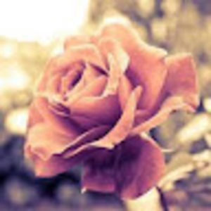 Meet your Posher, Abygail